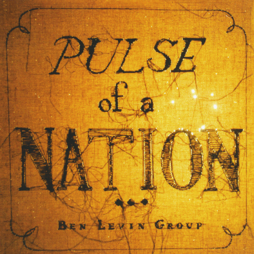 Ben Levin : Pulse of a Nation